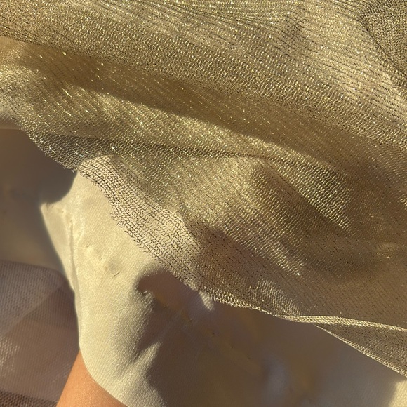 Aidan Mattox Chiffon Sleevless Gown in Champagne Size 6 - Picture 6 of 7